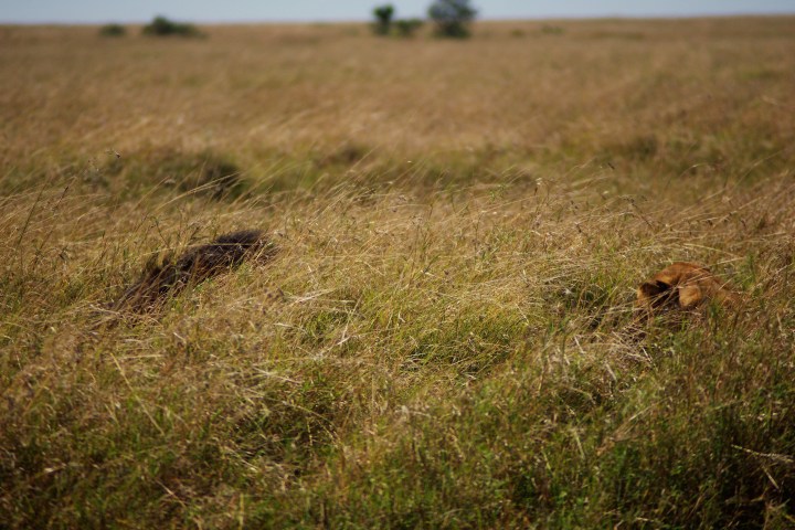 male and female 1_IGP5550