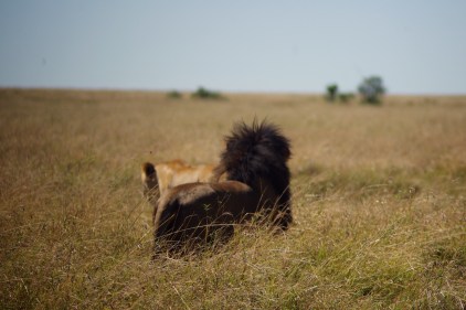 male and female 2_IGP5557